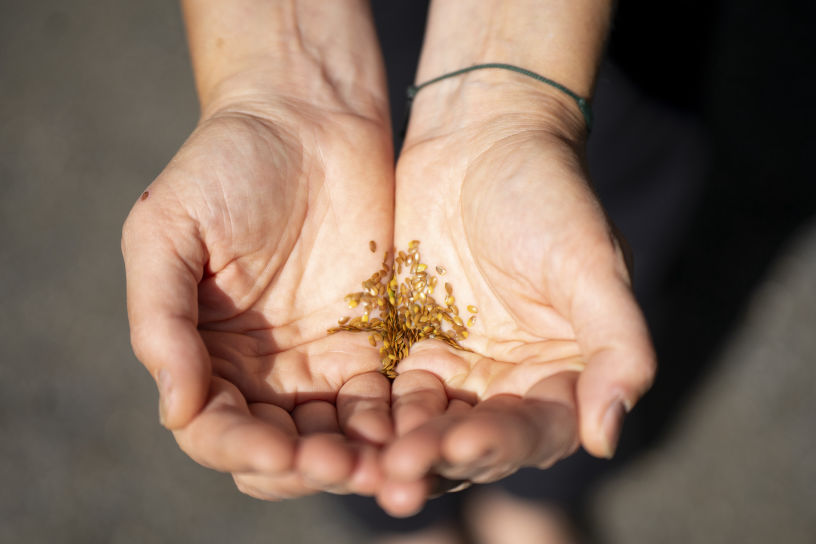 Zelfsturing voor leerlingen met leerkracht